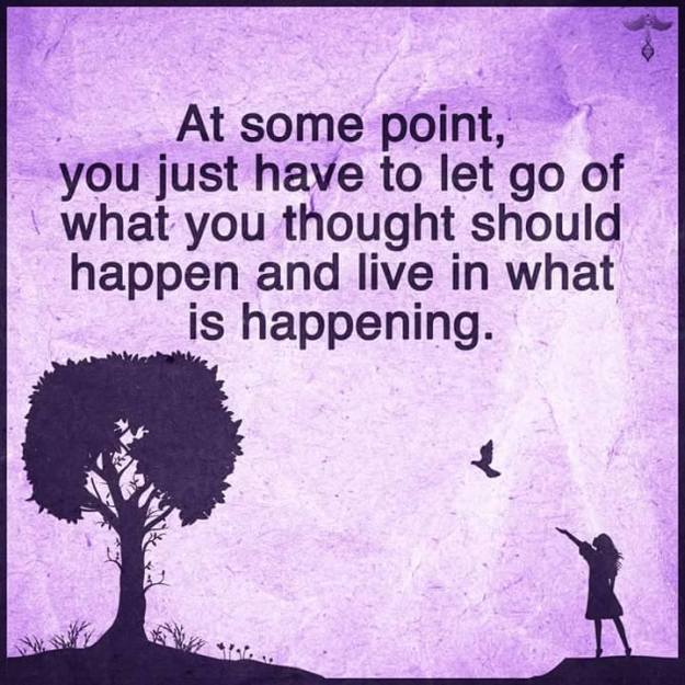 12508880_1498059723835527_4294254773859299480_n