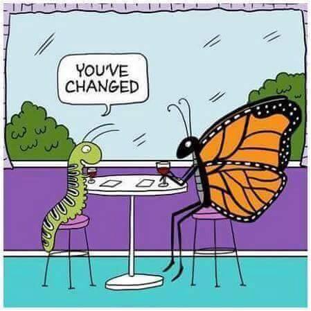 10306314_1514668378841328_4326988707995728745_n