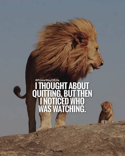 16174583_1713434695635063_2594397247237774093_n