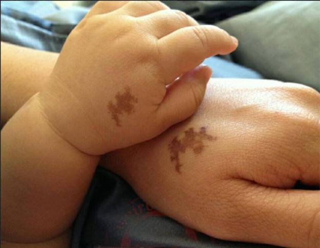 16602692_1793031431020124_276307929145467909_n